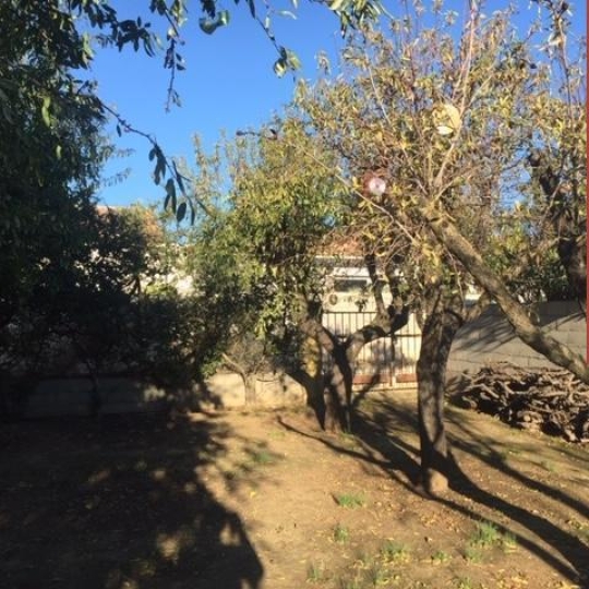  Annonces SETE : Terrain | MEZE (34140) | 208 m2 | 109 000 € 