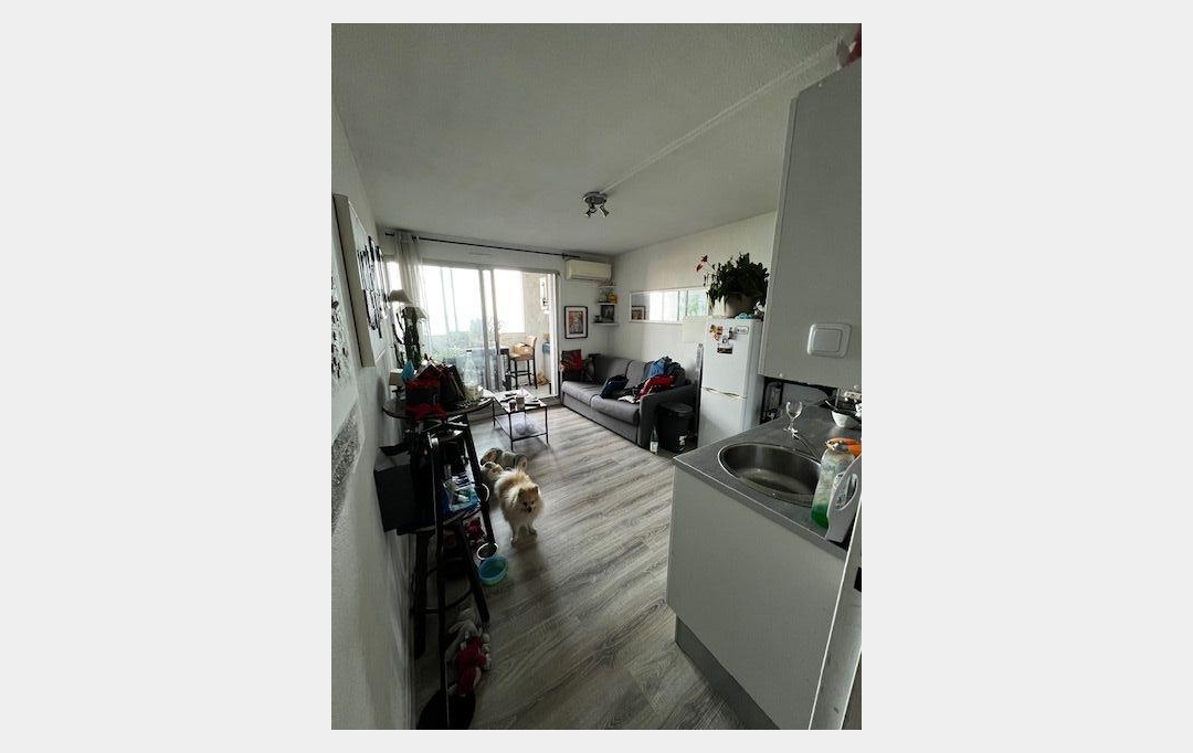 Annonces SETE : Appartement | SETE (34200) | 36 m2 | 147 000 € 