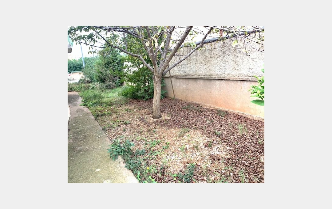 Annonces SETE : Terrain | FRONTIGNAN (34110) | 0 m2 | 160 000 € 